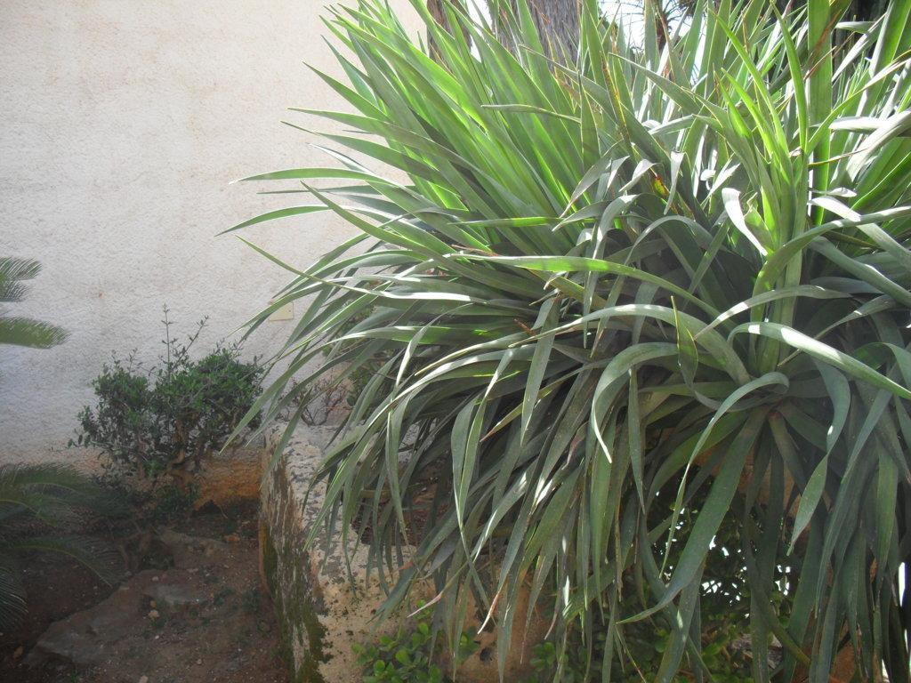 Casa Petros Apartment Marsala Ngoại thất bức ảnh